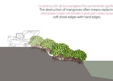 Cemex desarrolla isla flotante de concreto para revitalizar manglares