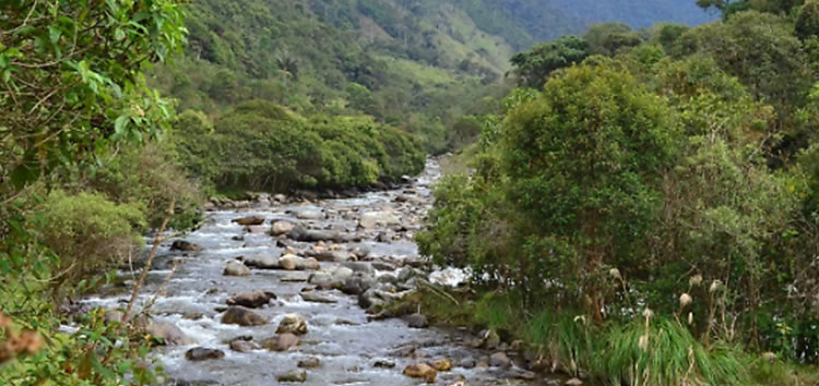 Presentan avances de la alianza por la conservación del río Saldaña