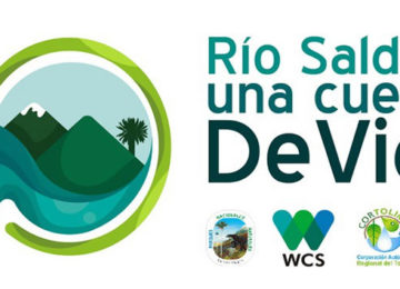 Cementos Argos, Parques Nacionales Naturales y WCS presentaron avances de la alianza por la conservación del río Saldaña