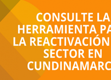 Herramienta de Reactivación del sector en 21 municipios de Cundinamarca