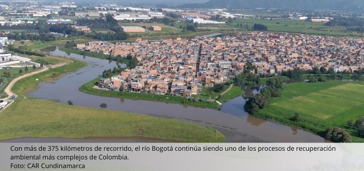 El nuevo siglo marzo 15